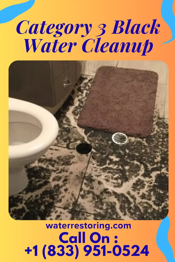 Category 3 Black Water Cleanup in Jamestown, KS