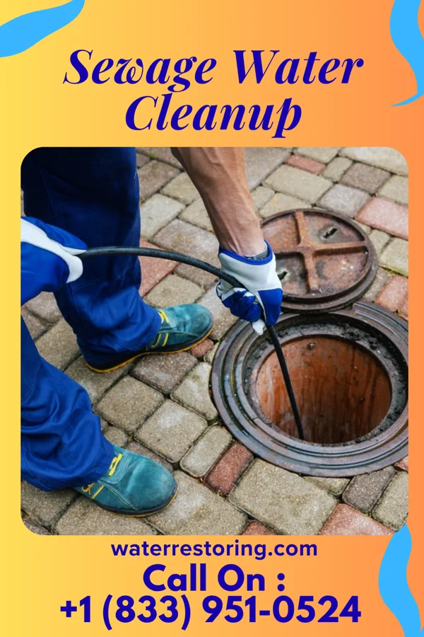 Sewage Water Cleanup in Jamestown, KS