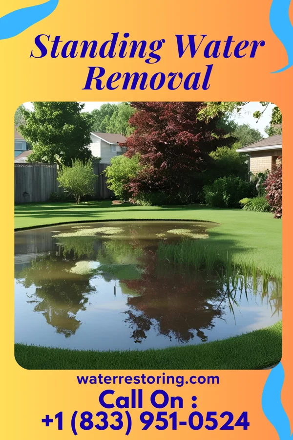 Standing Water Removal in Jamestown, KS
